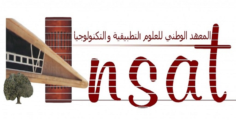 Logo INSAT